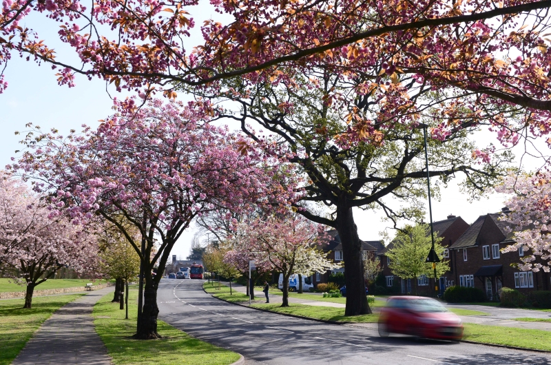 Bournville Village